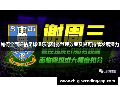 如何全面评估足球俱乐部财务管理效果及其可持续发展潜力