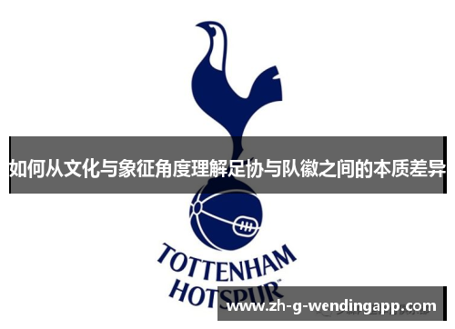 如何从文化与象征角度理解足协与队徽之间的本质差异