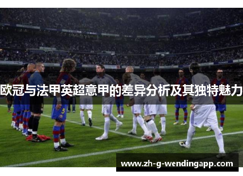 欧冠与法甲英超意甲的差异分析及其独特魅力