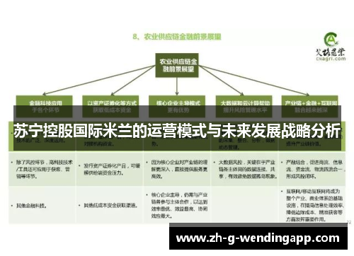 苏宁控股国际米兰的运营模式与未来发展战略分析