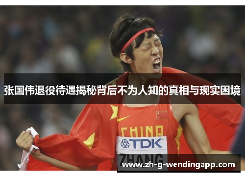 张国伟退役待遇揭秘背后不为人知的真相与现实困境