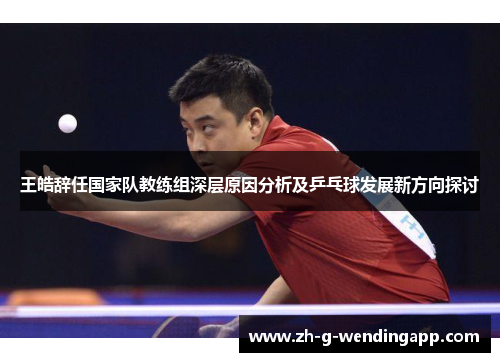 王皓辞任国家队教练组深层原因分析及乒乓球发展新方向探讨