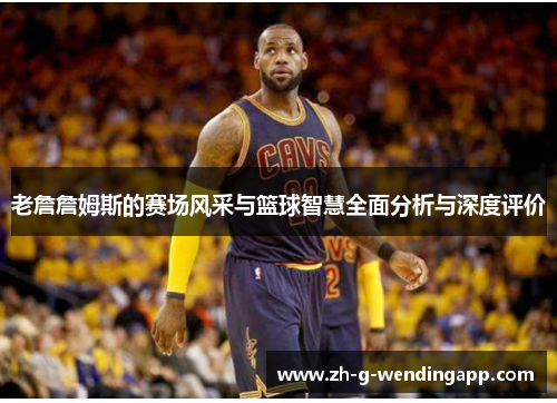 老詹詹姆斯的赛场风采与篮球智慧全面分析与深度评价