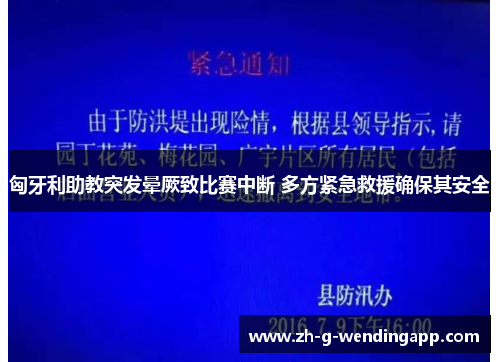 匈牙利助教突发晕厥致比赛中断 多方紧急救援确保其安全